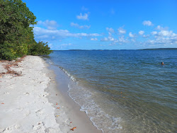 Ilha do Goio Beach'in fotoğrafı çok temiz temizlik seviyesi ile