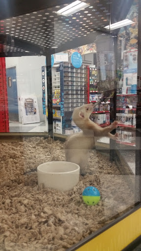 Pet Supply Store «Petco Animal Supplies», reviews and photos, 10060 US Highway 40 G-150, Ellicott City, MD 21042, USA