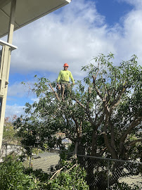 Don's Lawn Care - Photo 4 - Car repair in , Honolulu