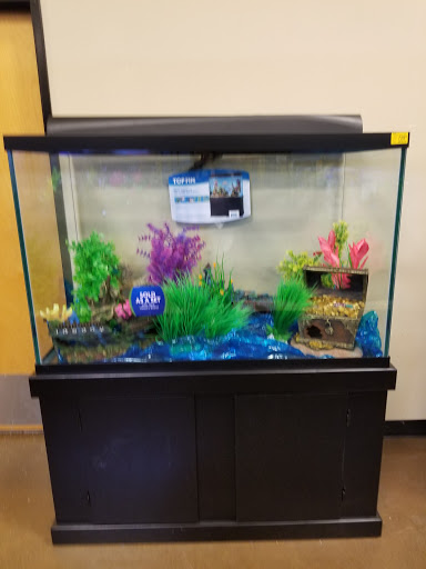 Pet Supply Store «PetSmart», reviews and photos, 10309 156th St E, Puyallup, WA 98373, USA