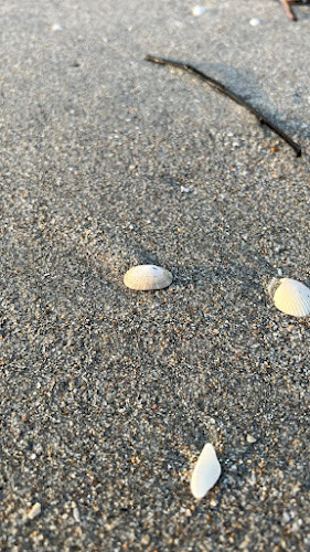 Comentarii opinii despre Playa Villegas