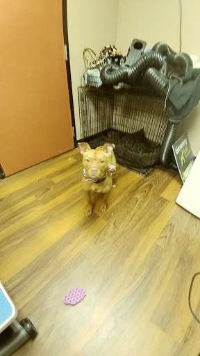 Pet Store «Pet Valu», reviews and photos, 2645 Shillington Rd, Sinking Spring, PA 19608, USA