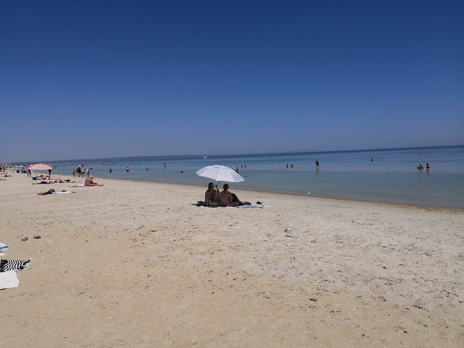 Aspendale Beach photo #8