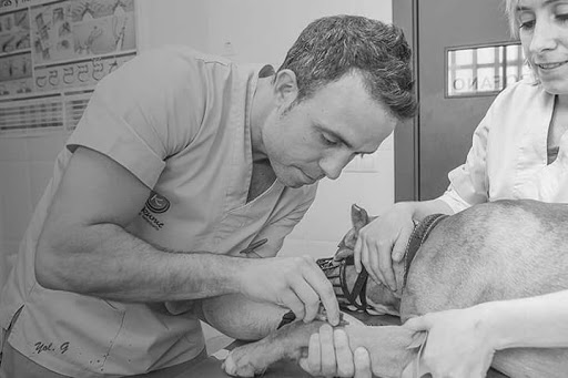 Centro Veterinario Kukume Albaitaritza-algorta en Getxo