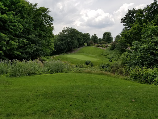 Public Golf Course «Ridge Top Golf Course», reviews and photos, 7441 Tower Rd, Medina, OH 44256, USA