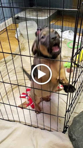 Pet Supply Store «Happy Tails Pet Supplies», reviews and photos, 431 E 2nd St, West Jefferson, NC 28694, USA