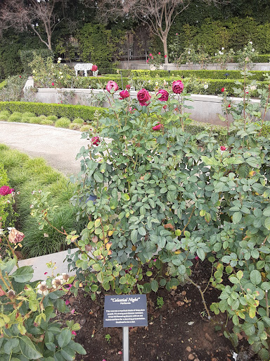 The Richard Nixon Library & Museum image