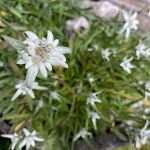 Photo n°1 de l'avis de Max.. fait le 06/09/2021 à 19:49 sur le  Schlüterhütte à Villnöß