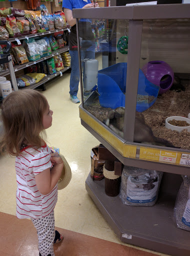 Pet Supply Store «Petco Animal Supplies», reviews and photos, 225 Maple Ave E, Vienna, VA 22180, USA