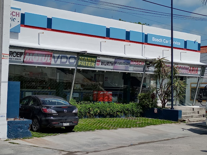 Refaccionaria Laguna Autopartes |