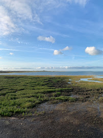 Réserve Naturelle de Moêze-Oléron du Restaurant La Moule à Facettes Dégustation à Dolus-d'Oléron - n°9