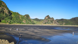 Foto di Karekare Beach ubicato in zona naturale