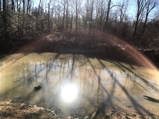 Park «Glassboro Wildlife Management Area», reviews and photos, Fries Mill Rd, Clayton, NJ 08312, USA