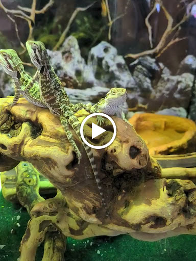 Pet Store «A to Z Pets», reviews and photos, 16010 SE Division St, Portland, OR 97236, USA