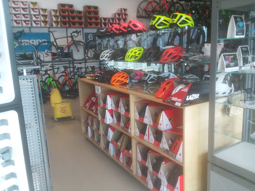 Bicycle Store «The Bicycle Planet», reviews and photos, 340 Robbins Ln, Syosset, NY 11791, USA