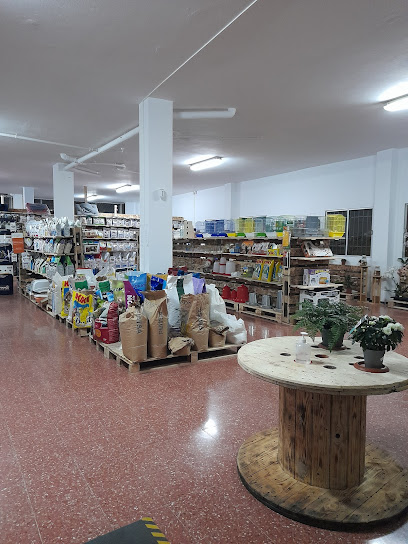 Kamaleon Tienda de mascotas y plantas - Servicios para mascota en Arucas