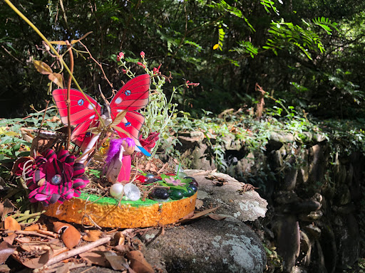 Nature Preserve «Pine Island Ridge Natural Area», reviews and photos, 3900 SW 100th Ave, Davie, FL 33328, USA