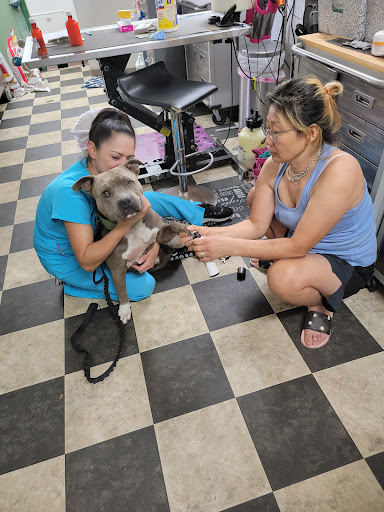 Christina'sGrooming &Pet Wellness Center image