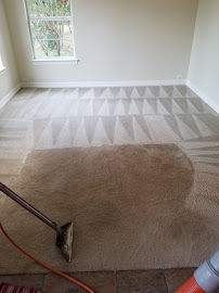 Cleantech Carpet Cleaning - Photo 4 - Car repair in , Austin