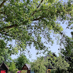 Photo n°3 de l'avis de Roberto.n fait le 03/06/2023 à 18:30 sur le  Traditionsgasthaus Zum Grünen Strand der Spree à Lübbenau