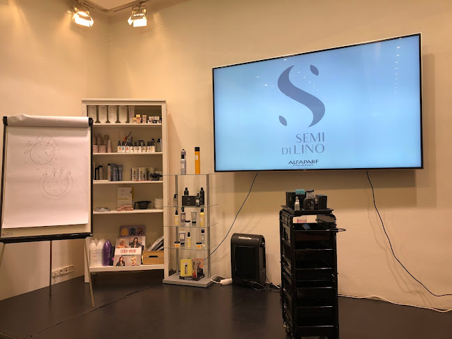 Alfaparf Milano Akadémia - Nyelviskola