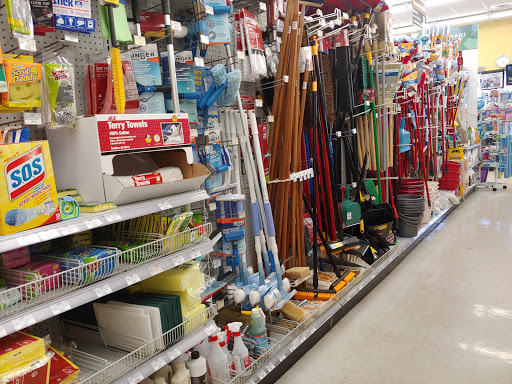 Hardware Store «Ace Hardware Palm Harbor», reviews and photos, 35125 US Hwy 19 N, Palm Harbor, FL 34684, USA