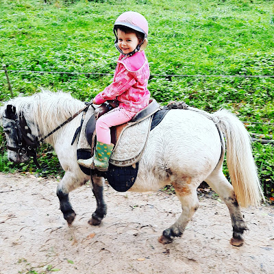 Centre Equestre du Royans à Saint-Jean-en-Royans