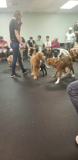 Pet Supply Store «Dogology», reviews and photos, 166 Albany Turnpike, Canton, CT 06019, USA