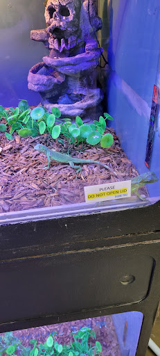 Pet Store «Southside Aquatics», reviews and photos, 2039 Pleasanton Rd, San Antonio, TX 78221, USA