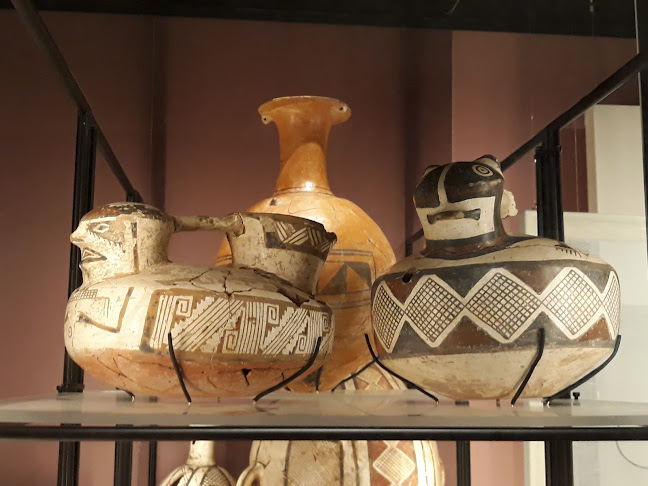 Museo Arqueológico de La Serena - Museo