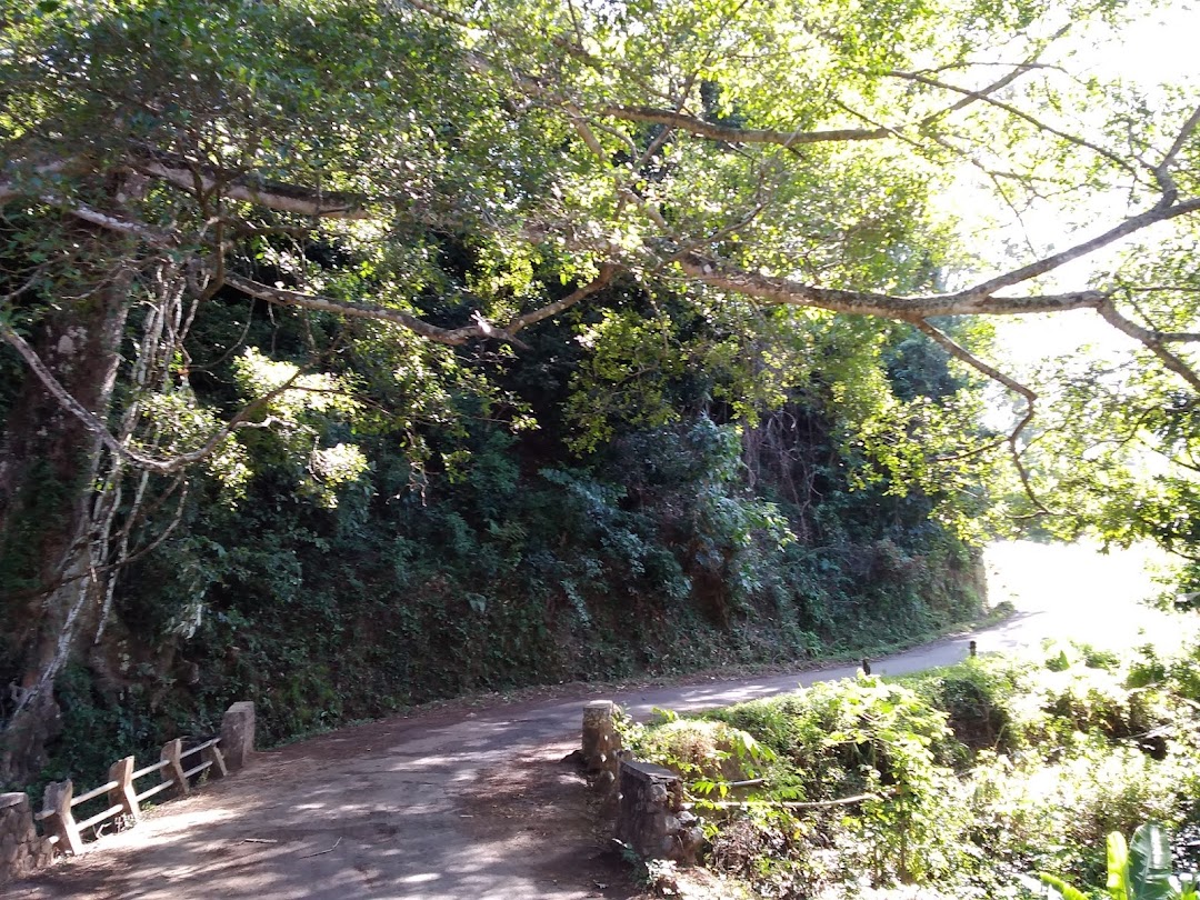 Taman Sumber Kradangan