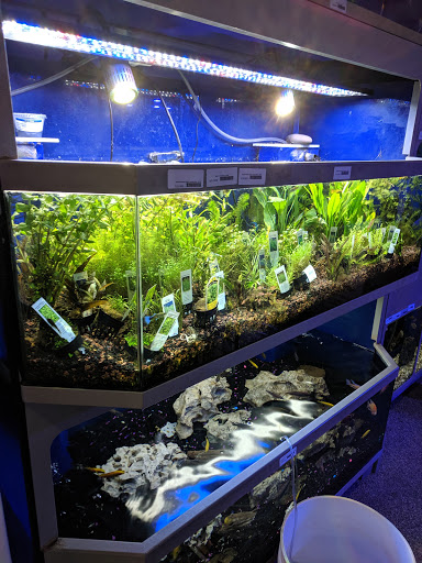 Tropical Fish Store «Elegant Reef - Tropical Fish Studio», reviews and photos, 301 W Nakoma Dr, San Antonio, TX 78216, USA