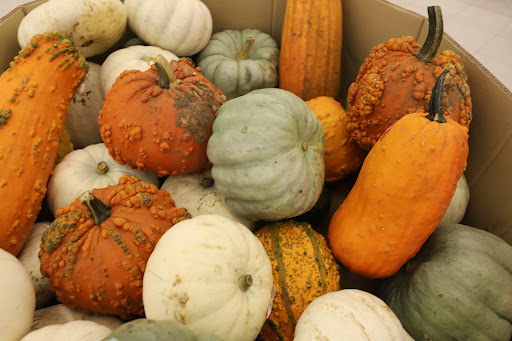 Grocery Store «Food Lion», reviews and photos, 5021 Trotwood Ave Ste 7, Columbia, TN 38401, USA