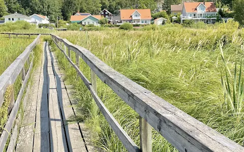 The Flemingsberg Forest Nature Reserve image