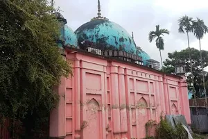 Gafargaon Railway Station Mosque Pond image