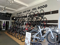 Trek Bicycle San Francisco Cow Hollow - Photo 5 - Car repair in San Francisco, CA, San Francisco