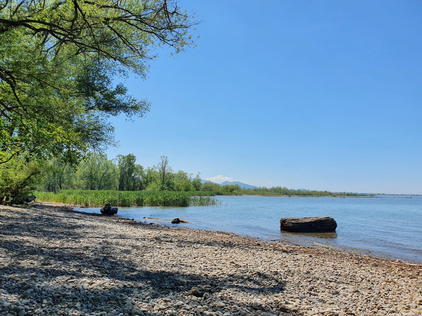 Strand auf der Halbinsel am Wocherhafen'in fotoğrafı vahşi alan