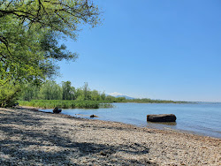 Photo de Strand auf der Halbinsel am Wocherhafen zone sauvage