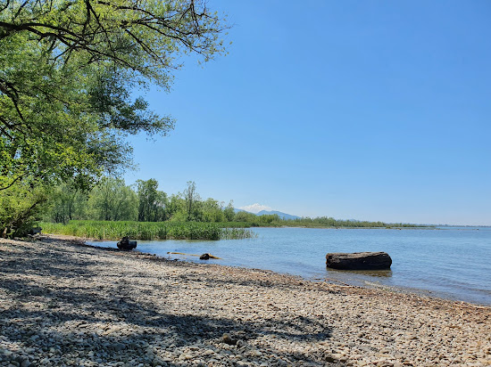 Strand auf der Halbinsel am Wocherhafen