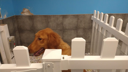 Pet Store «The Puppy Store», reviews and photos, 1163 Merrick Ave, Merrick, NY 11566, USA