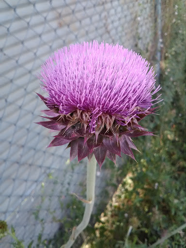 Auto Repair Shop «Discount Tire & Service of Greeley», reviews and photos, 120 18th St, Greeley, CO 80631, USA