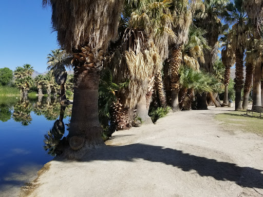 Agua Caliente Regional Park