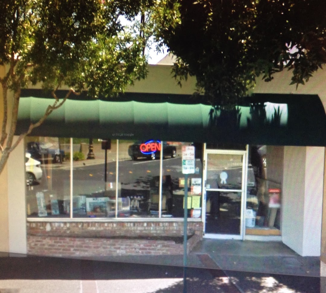 Warm Solutions, Inc. dba American Chimney Services