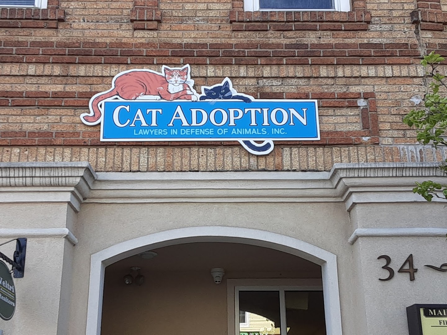 LIDA Cat Adoption Center