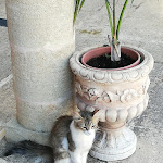 Photo n°6 de l'avis de Lucia. fait le 21/08/2021 à 07:14 sur le  Masseria Le Calie - Agriturismo Ristorante Pizzeria B&B à Taurisano