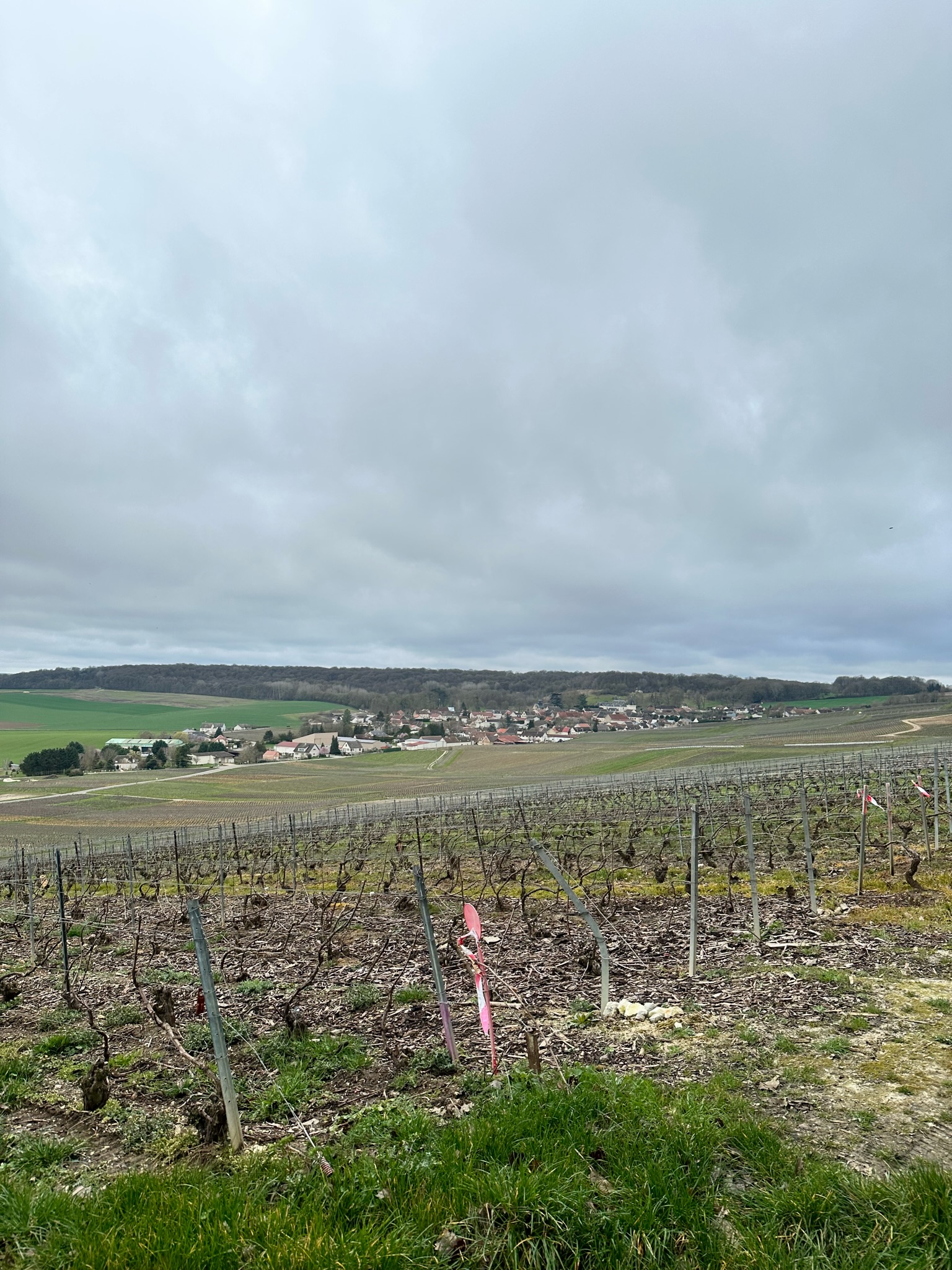 Photo n° 2 de l'avis de Hillery.o fait le 26/03/2023 à 21:41