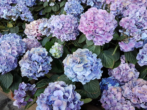 Produce Market «Hudson Farmers Market», reviews and photos, 3437 John F. Kennedy Blvd, Jersey City, NJ 07307, USA