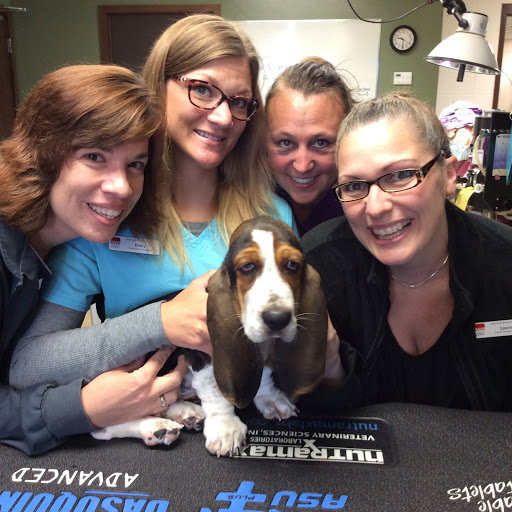 Bay East Animal Hospital image