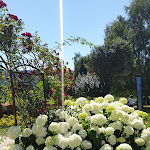 Photo n°5 de l'avis de Doreen.e fait le 15/07/2023 à 15:59 sur le  Weinfurtner - DAS GLASDORF in Arnbruck im Bayerischen Wald à Arnbruck