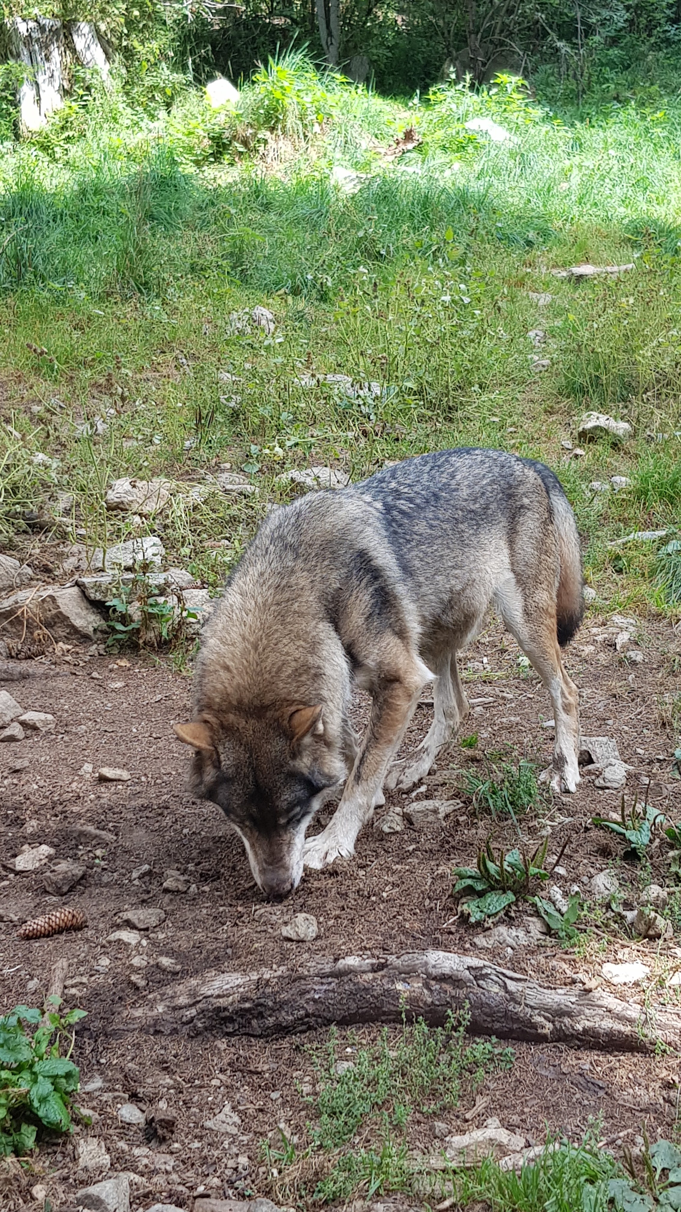 Photo n° 2 de l'avis de Noémie. fait le 05/09/2019 à 15:10